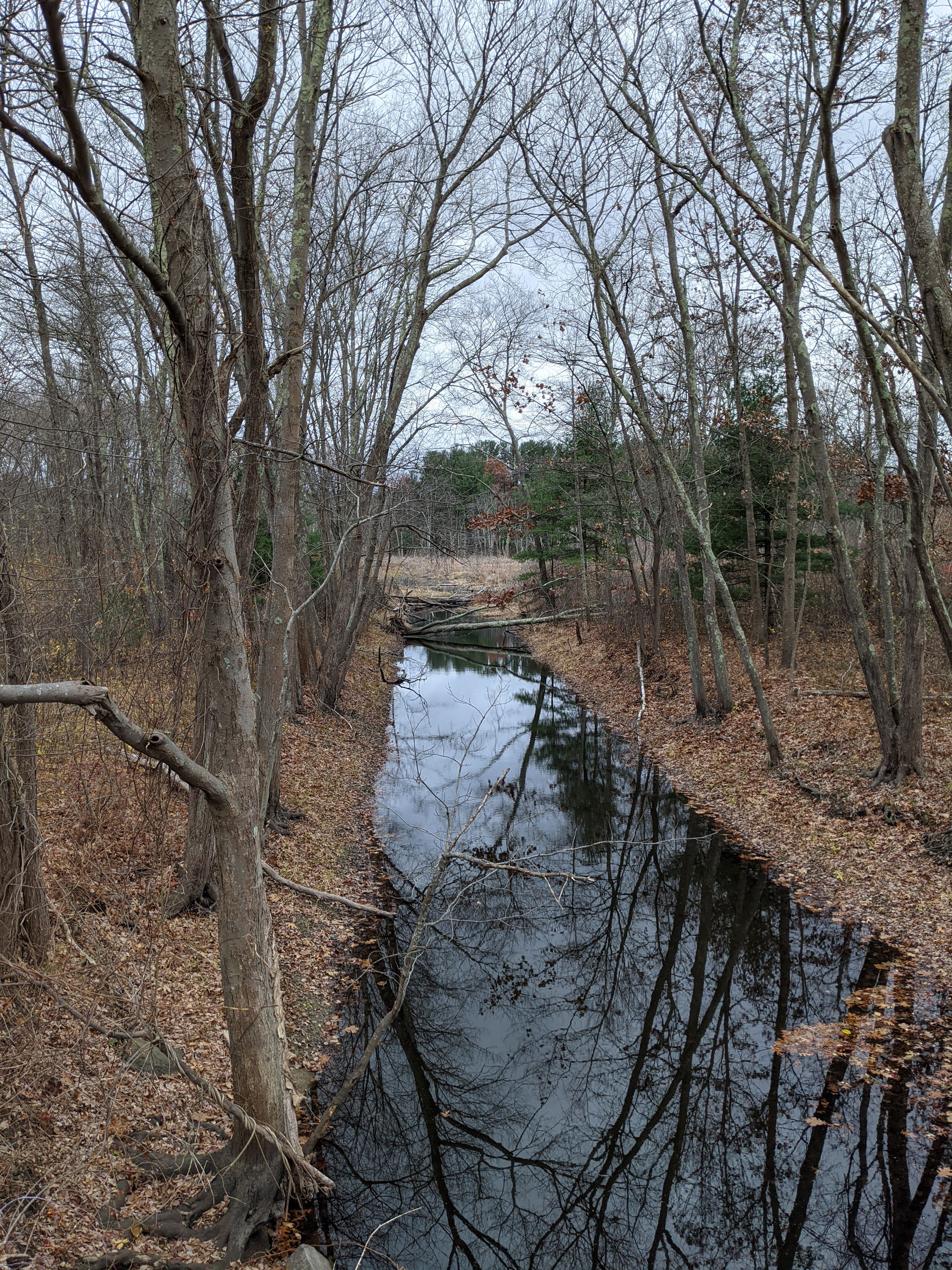 Fall afternoon in Ashland State Park