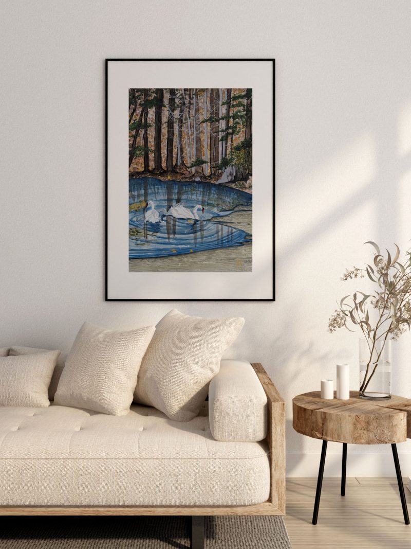 Swans at Ashland State Park by Fan Stanbrough