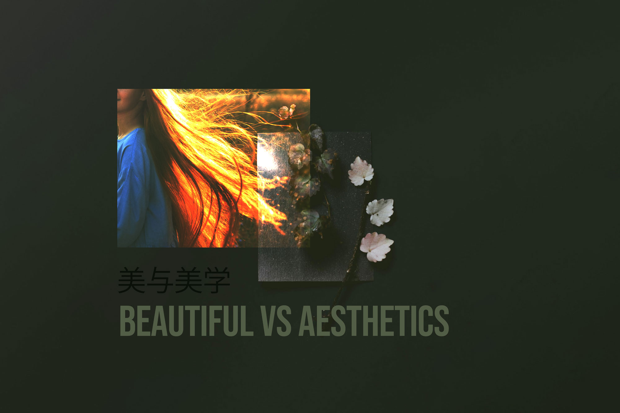 Beauty and Aesthetics